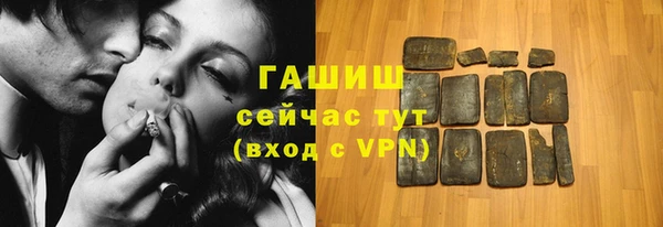 стаф Коряжма