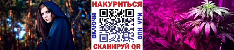 Бошки марихуана OG Kush  Агрыз 
